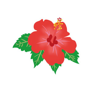 HIBISU